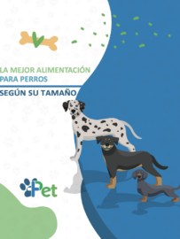 Guía alimentación para perros