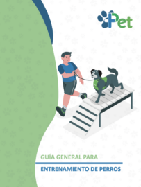 Como entrenar perros