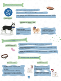 Guía de Salud Emocional en Perros