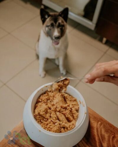 MasPet Dieta barf para perros