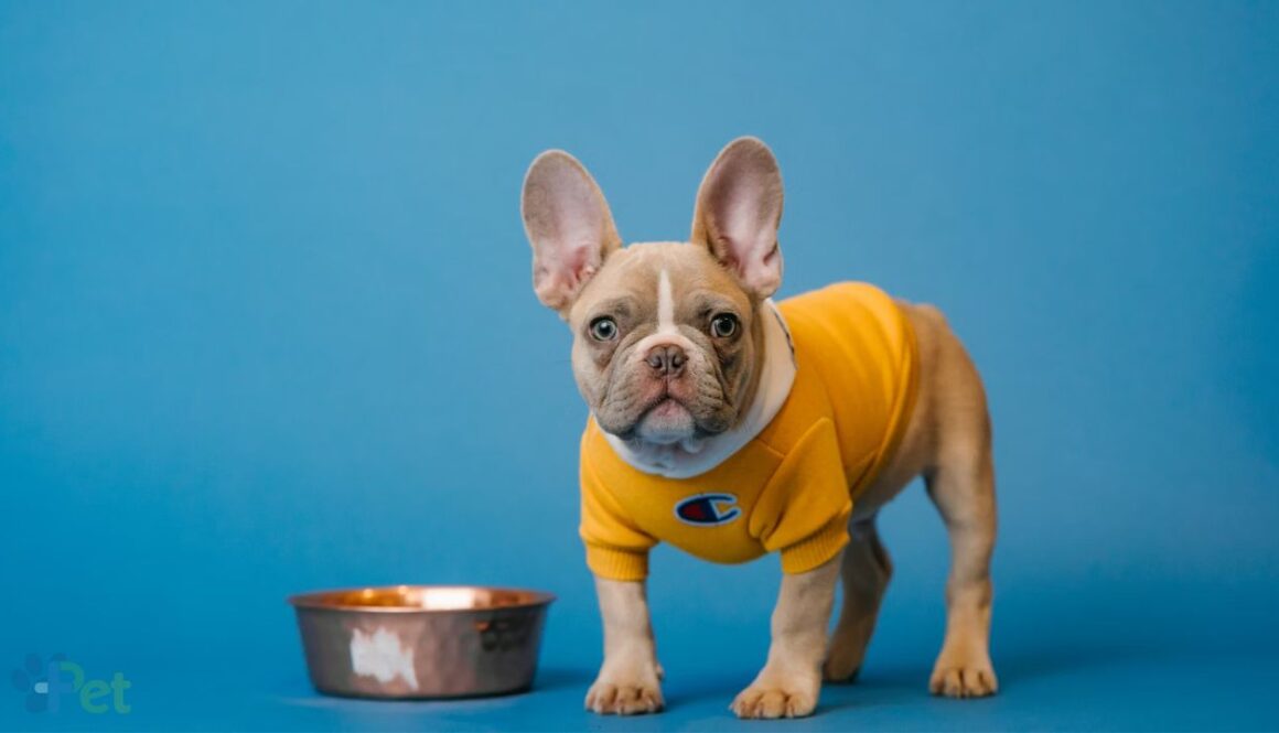 dog nutrition MasPet